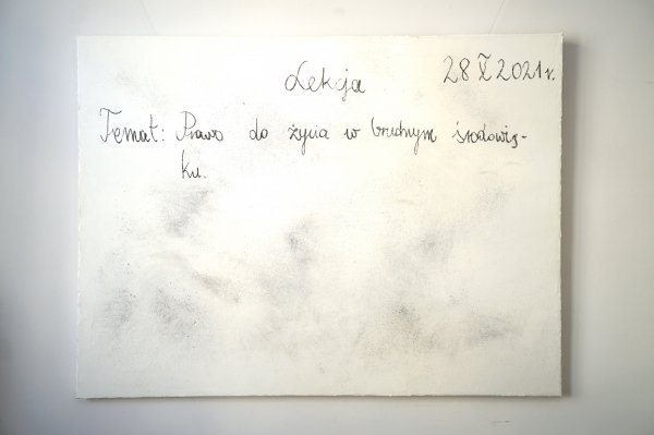 Szkice węglem - Glosa krytyczna do uchwały Sądu Najwyższego z 28 maja 2021 r.