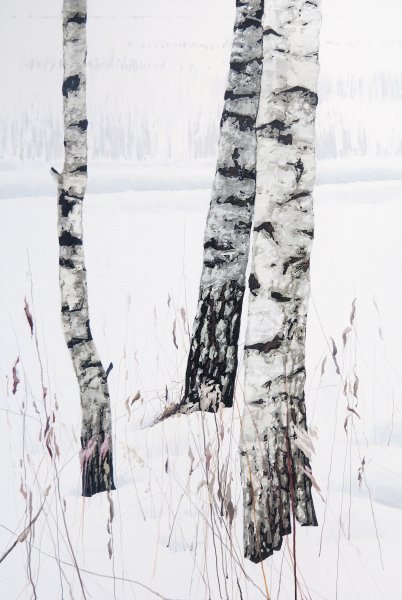 Brzozy IV, część 1