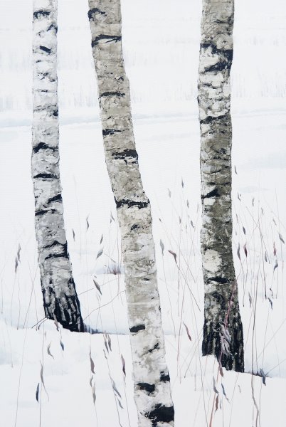 Brzozy IV, część 2