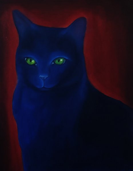 Trójwariacja kocia #1