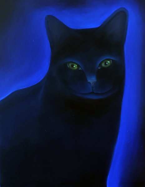 Trójwariacja kocia #3